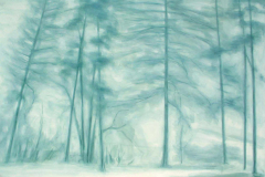 0525. Invierno. 130 x 195 cm. 500 €