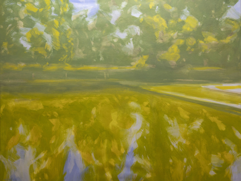 2113. Reflejos en el estanque.130 x 162 cm. 600 €